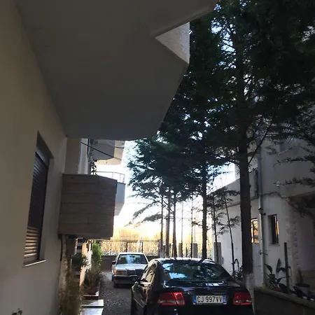 Tafilaj * ドゥラス